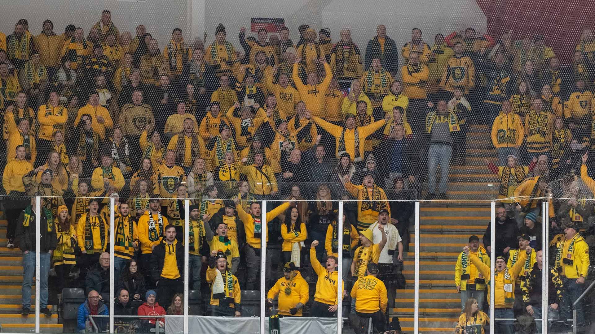 katowice-fans-v-katowice-jan-16-JA.jpg